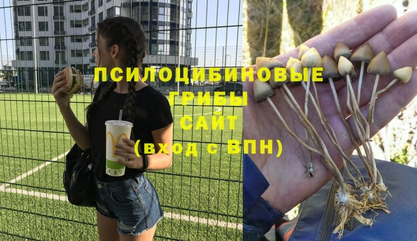 трава Балахна